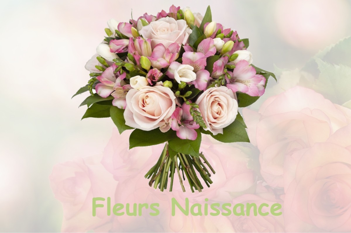 fleurs naissance VIFFORT