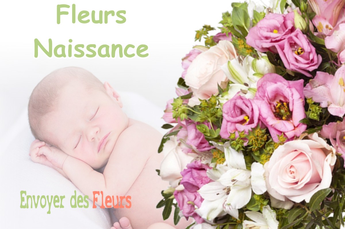 lIVRAISON FLEURS NAISSANCE à VIFFORT